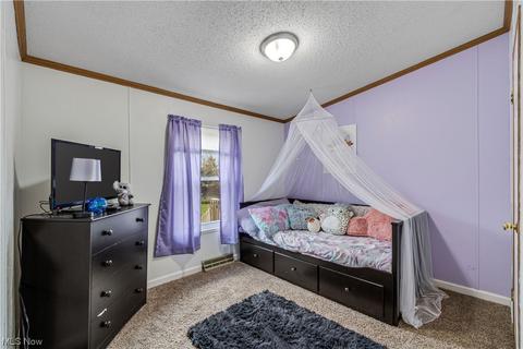 8167 White Rd, Burbank, OH 44214 photo 20