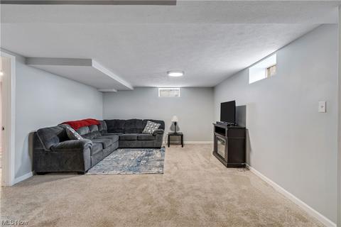 8167 White Rd, Burbank, OH 44214 photo 24