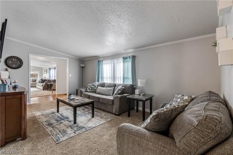 8167 White Rd, Burbank, OH 44214 photo 15