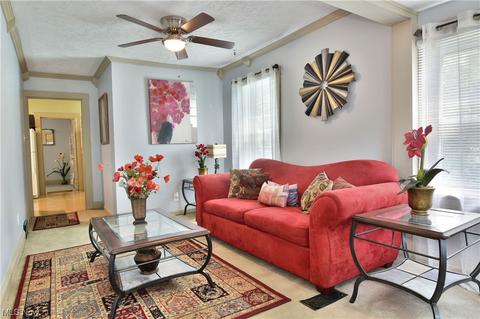 533 Spring St, Struthers, OH 44471 photo 16