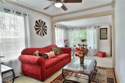 533 Spring St, Struthers, OH 44471 photo 15