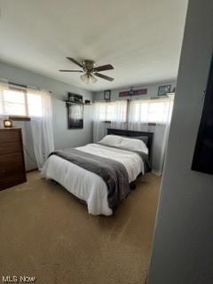 7036 Manor Dr, Elyria, OH 44035 photo 18