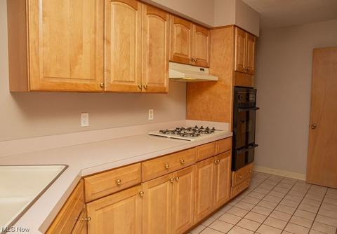 725 E 260th St, Euclid, OH 44132 photo 12