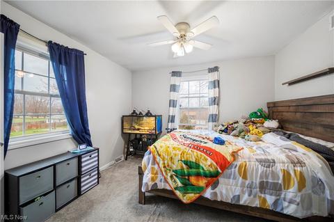 5410 Carlson Ln, Ashtabula, OH 44004 photo 15