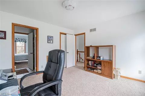229 Clingan Rd, Struthers, OH 44471 photo 29
