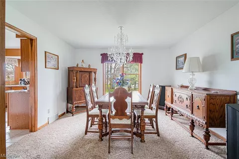 229 Clingan Rd, Struthers, OH 44471 photo 6