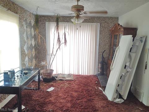 924 Bisson Ave, Akron, OH 44307 photo 15