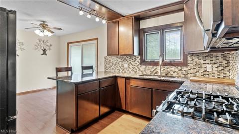 5118 Chestnut Hill Dr, Ashtabula, OH 44004 photo 3