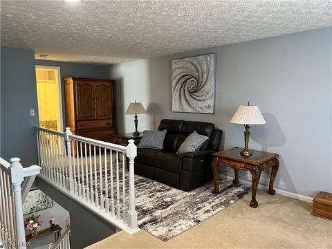 443 Stonehedge Dr, Elyria, OH 44035 photo 26