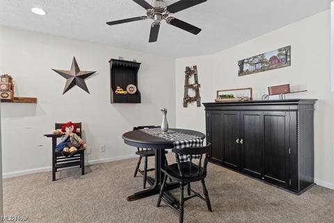 3850 Main St, Perry, OH 44081 photo 22