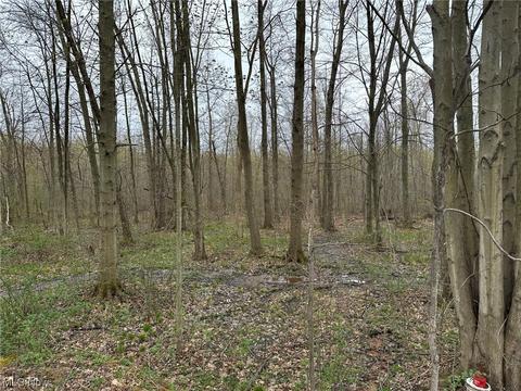 6142 N Bend Rd, Ashtabula, OH 44004 photo 3