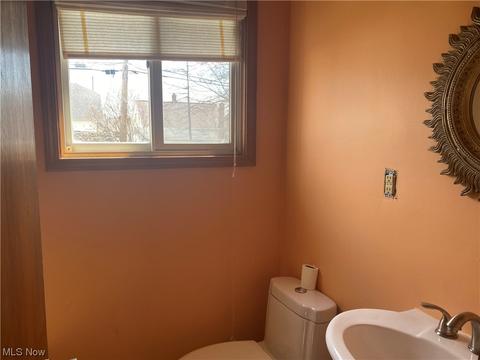 19450 Ormiston Ave, Euclid, OH 44119 photo 9