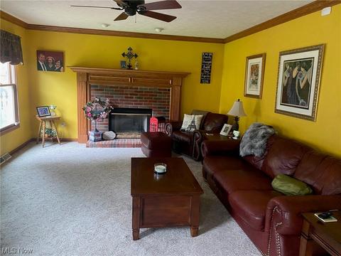 116 Ferris State Ct, Elyria, OH 44035 photo 9