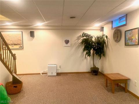 116 Ferris State Ct, Elyria, OH 44035 photo 20