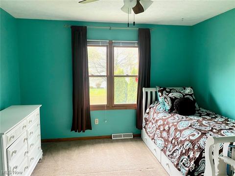 116 Ferris State Ct, Elyria, OH 44035 photo 13