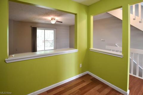 1663 Red Maple Ct, Streetsboro, OH 44241 photo 4