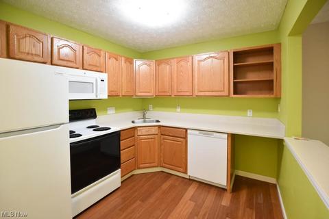 1663 Red Maple Ct, Streetsboro, OH 44241 photo 3
