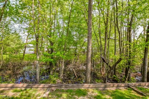 1663 Red Maple Ct, Streetsboro, OH 44241 photo 19