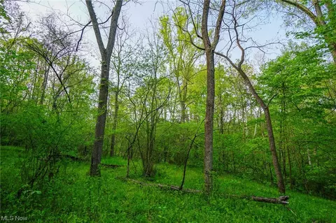Sandusky Road, Albany, OH 45710