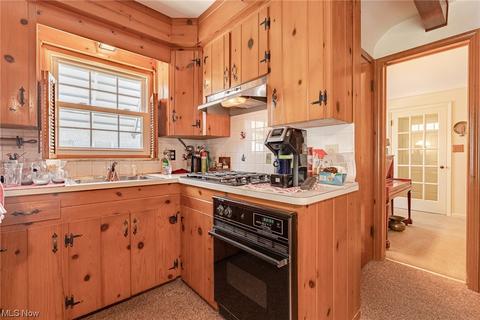 425 E 272nd St, Euclid, OH 44132 photo 11