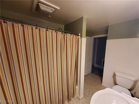 252 Fifield Ave, Conneaut, OH 44030 photo 18