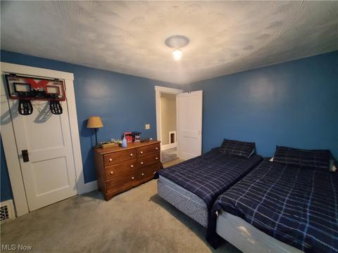 252 Fifield Ave, Conneaut, OH 44030 photo 15