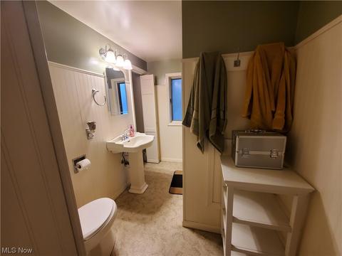 252 Fifield Ave, Conneaut, OH 44030 photo 17
