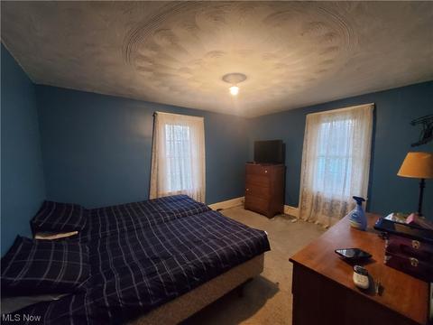 252 Fifield Ave, Conneaut, OH 44030 photo 13