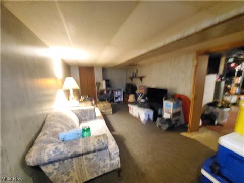 252 Fifield Ave, Conneaut, OH 44030 photo 19
