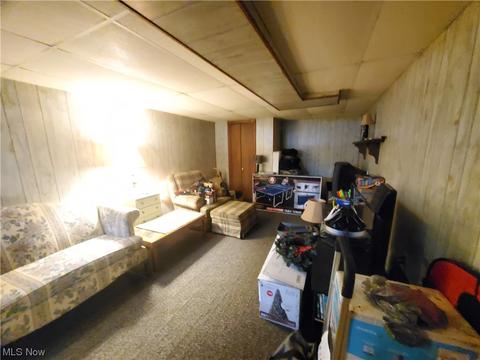 252 Fifield Ave, Conneaut, OH 44030 photo 20