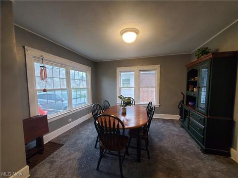 252 Fifield Ave, Conneaut, OH 44030 photo 8