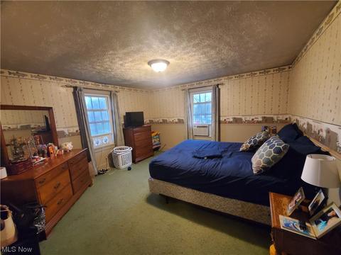 252 Fifield Ave, Conneaut, OH 44030 photo 11