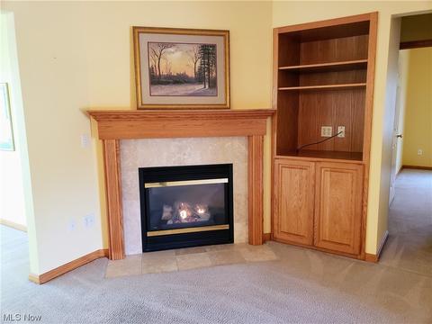4254 Turtleback Cv, Avon, OH 44011 photo 10