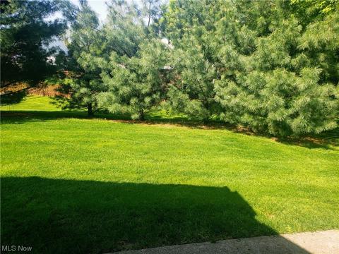4254 Turtleback Cv, Avon, OH 44011 photo 25