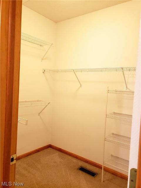 4254 Turtleback Cv, Avon, OH 44011 photo 12