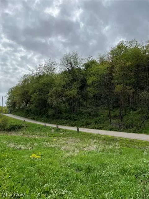 Angel Valley Road, Stone Creek, OH 43840