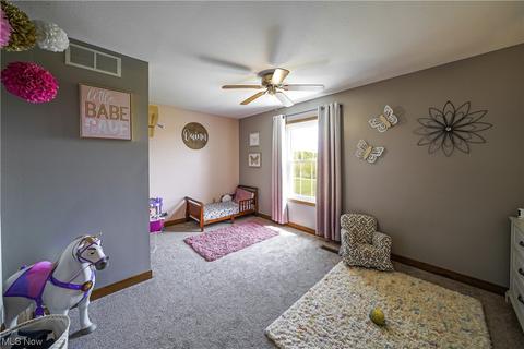 8396 Nichols Rd, Windham, OH 44288 photo 18