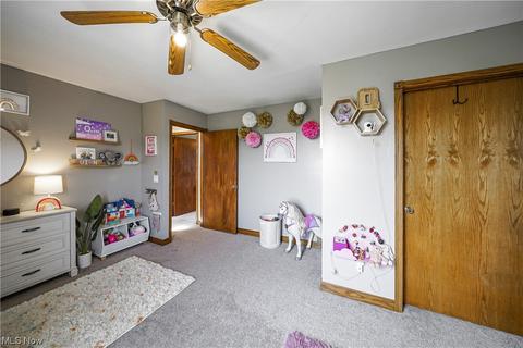 8396 Nichols Rd, Windham, OH 44288 photo 19