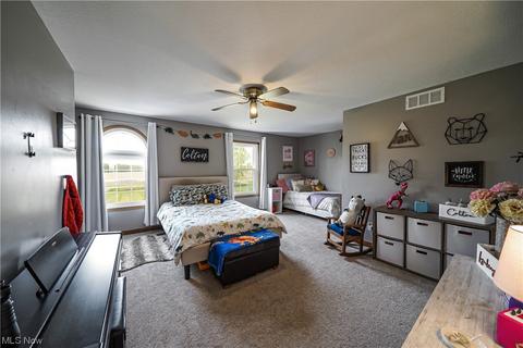 8396 Nichols Rd, Windham, OH 44288 photo 17