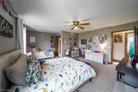 8396 Nichols Rd, Windham, OH 44288 photo 16