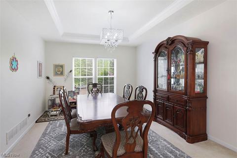 7197 Capilano Dr, Solon, OH 44139 photo 7