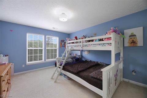 7197 Capilano Dr, Solon, OH 44139 photo 25