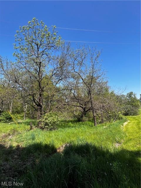 8697 Euga Rd, Newcomerstown, OH 43832 photo 3