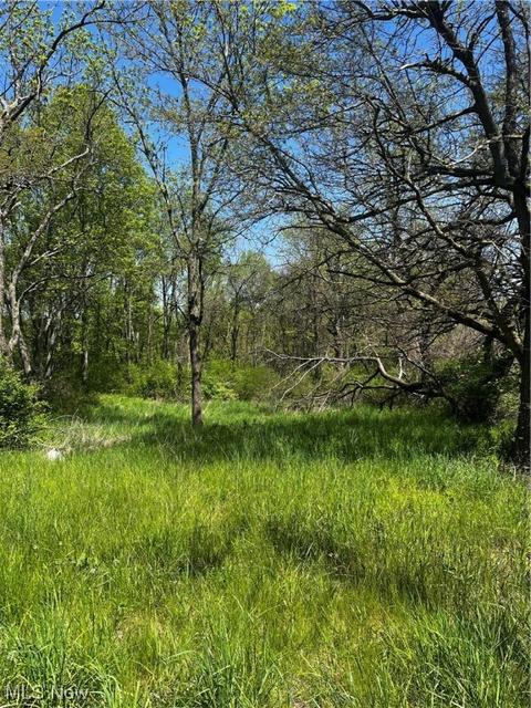 8697 Euga Rd, Newcomerstown, OH 43832 photo 2