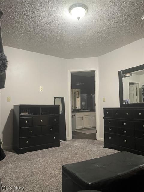 4162 Pine Dr, Rootstown, OH 44272 photo 21