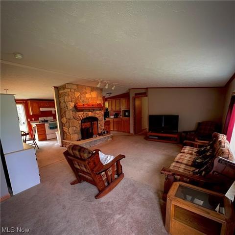 8911 Nichols Rd, Windham, OH 44288 photo 11