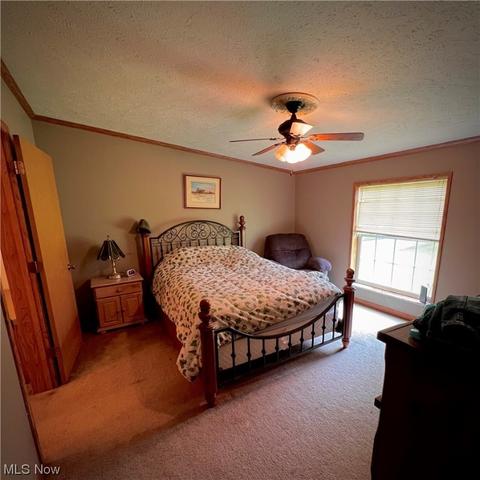 8911 Nichols Rd, Windham, OH 44288 photo 17