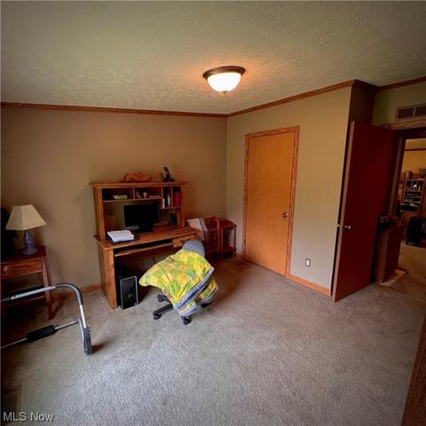 8911 Nichols Rd, Windham, OH 44288 photo 23