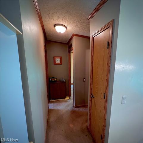 8911 Nichols Rd, Windham, OH 44288 photo 20