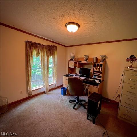 8911 Nichols Rd, Windham, OH 44288 photo 22